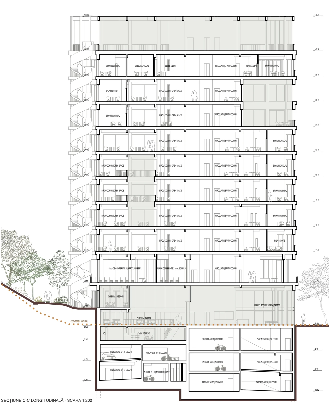 Longitudinal section