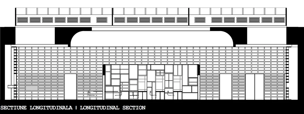 Longitudinal section